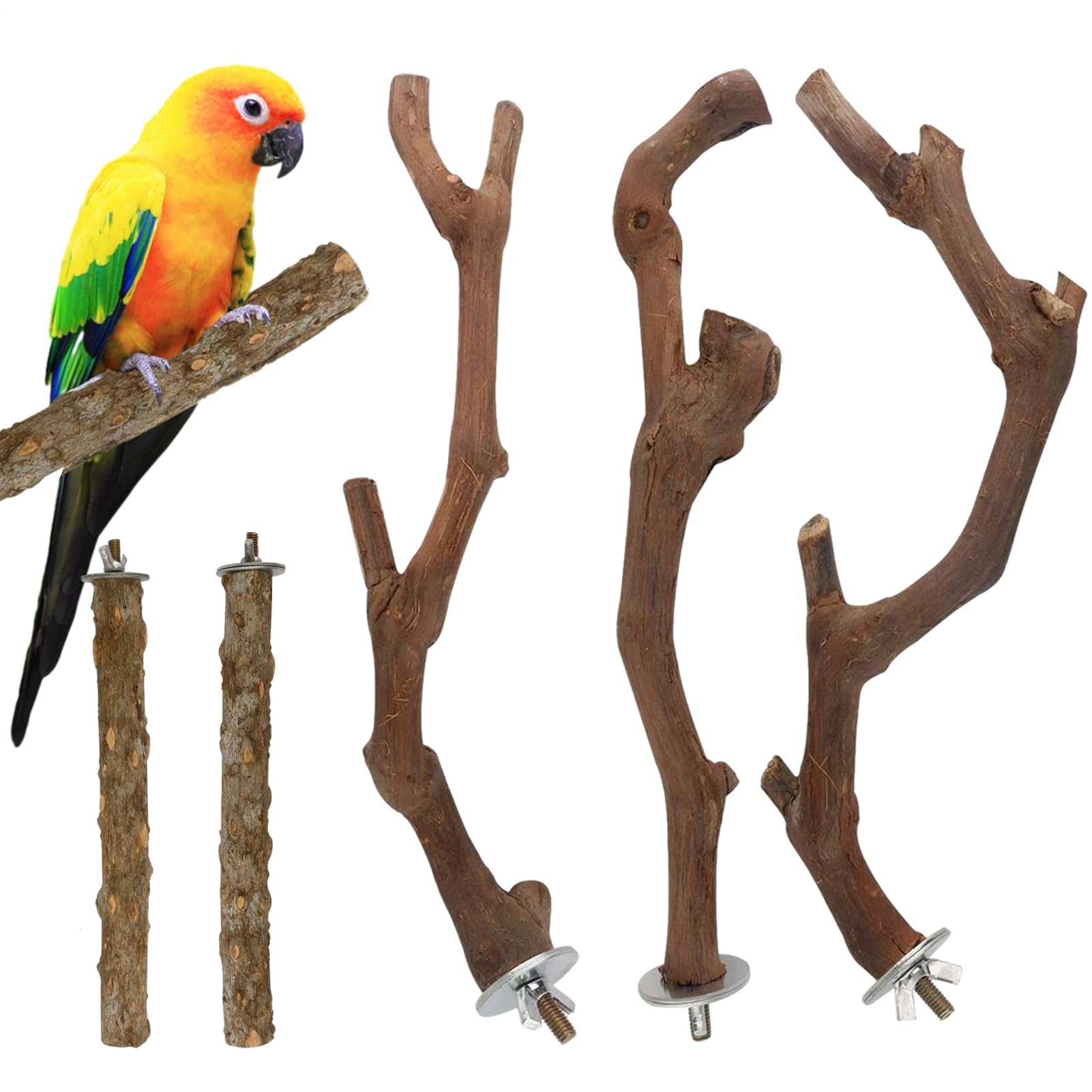 Perchoirs à oiseaux pour conures et calopsittes en bois naturel x5