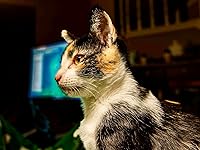 Review Image by JD JD