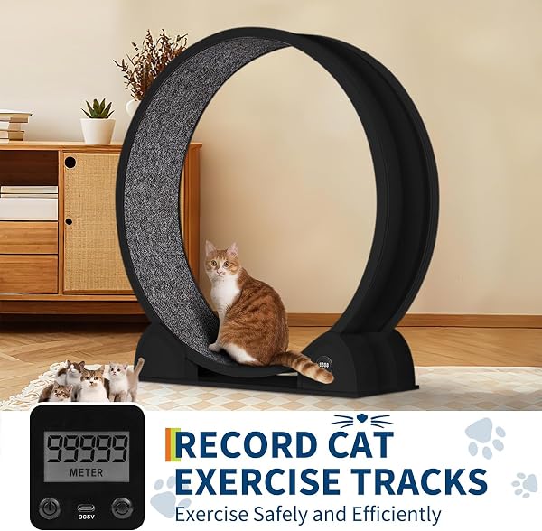 Rueda de Ejercicio para Gatos de Interior, diseño silencioso, Madera Natural Extra Grande, Pista alfombrada de 320 cm Desmontable con podómetro Inteligente, Ideal para Correr y Caminar - 4