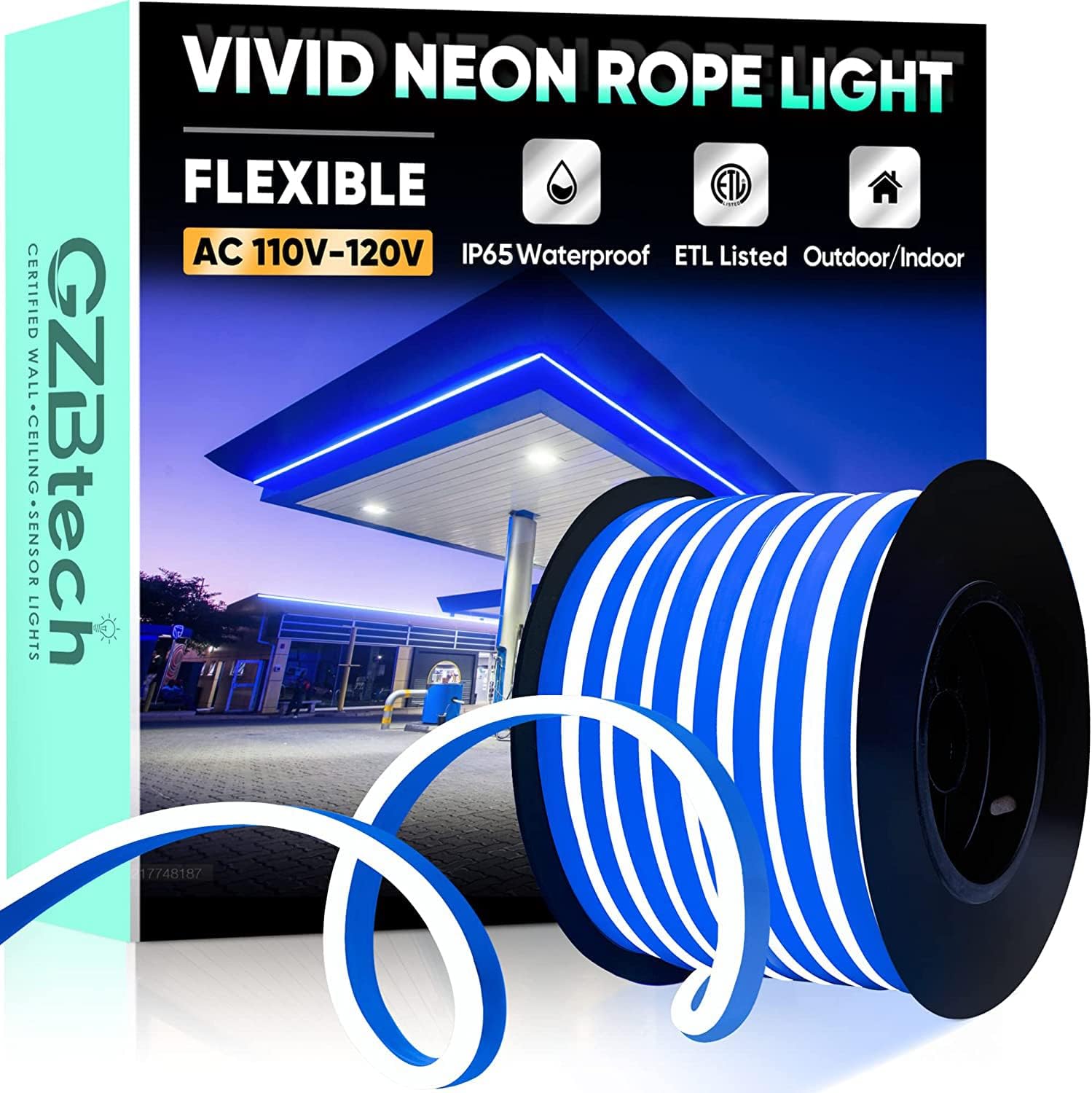 GZBtech Flexible LED Neon Rope Lights 66FT,AC 110120V