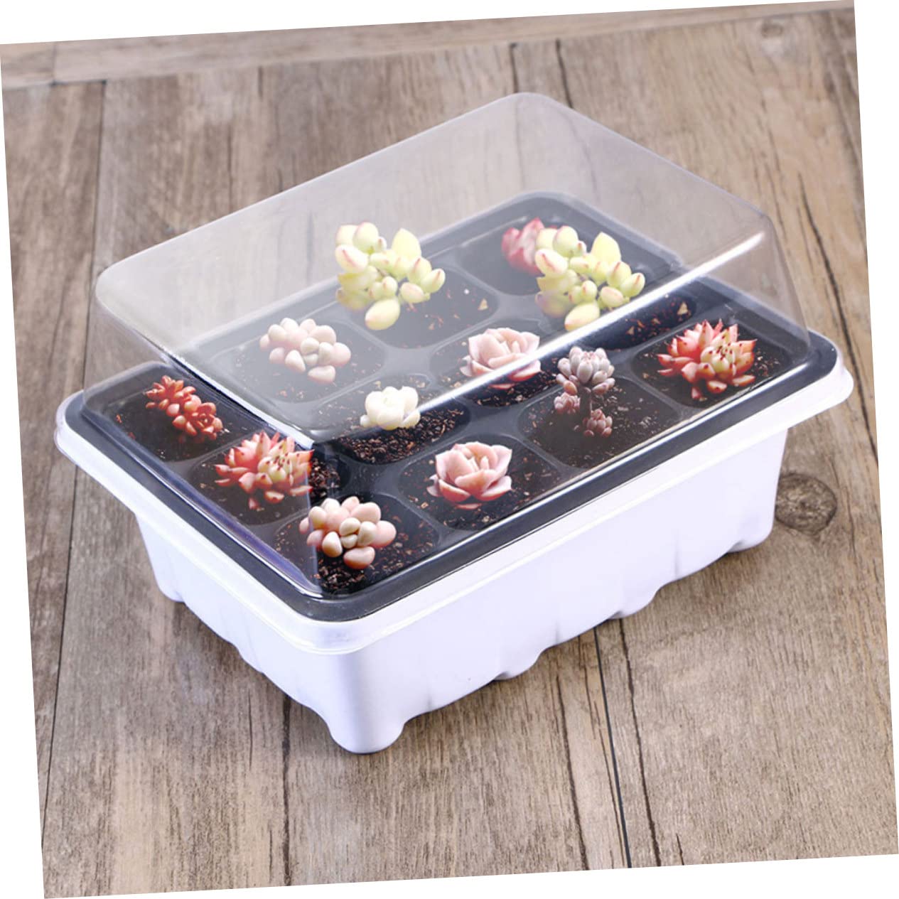PartyKindom 2 Ensembles Boîte À Semis Plantes pour Plateaux Usine Entrée Bac De Culture Box De Culture Plateau De Pépinière De Légumes Plantant des Conteneurs Plastique 6 Pièces * 2