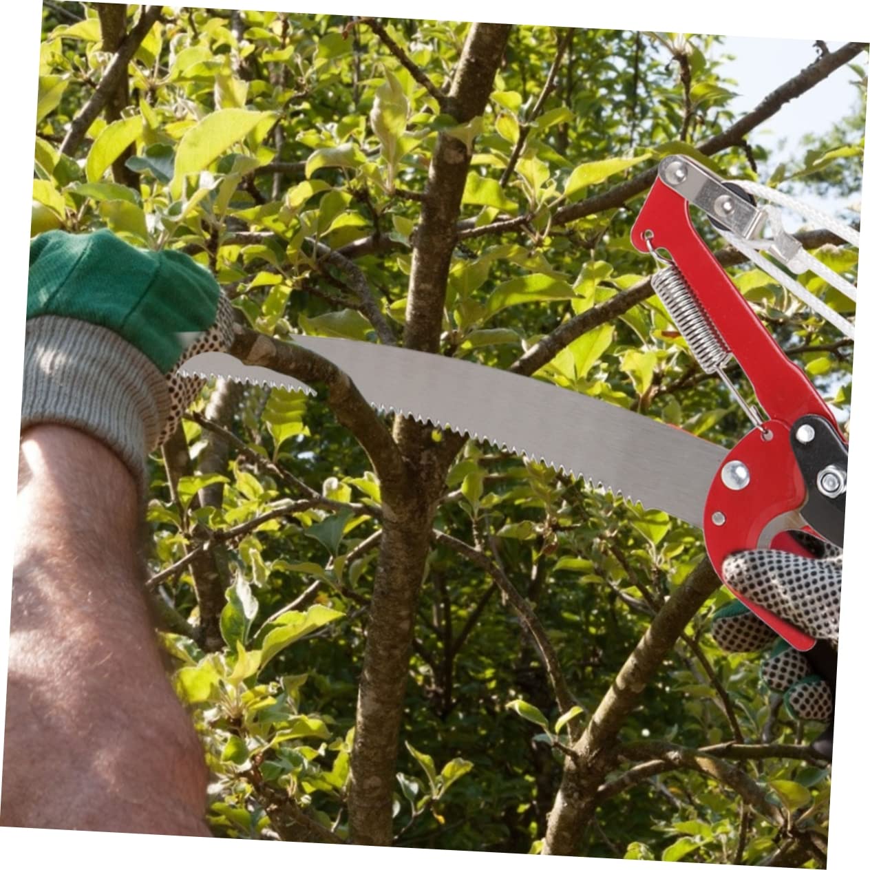 Astschere aus Stahl mit Verstärktem Nylonseil und Komfortablen Griffen für Obstbäume im Garten Robuste Gartenschere für Kleine Bäume und Obstgärten Zufällige Farbe