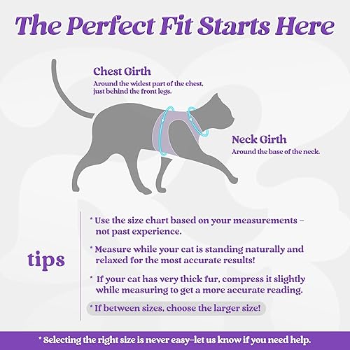 Miniatura 2 de Rabbitgoo - Juego de arnés y correa para gatos para caminar a prueba de escapes, chaleco ajustable suave para gatitos con tira reflectante para