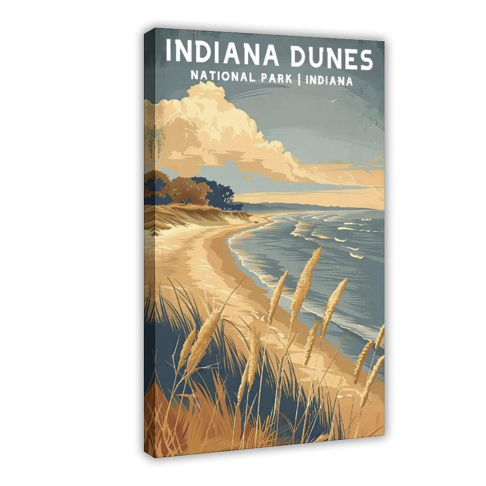 Bareronor Indiana Dunes Canvas Poster for Home Decor Gift