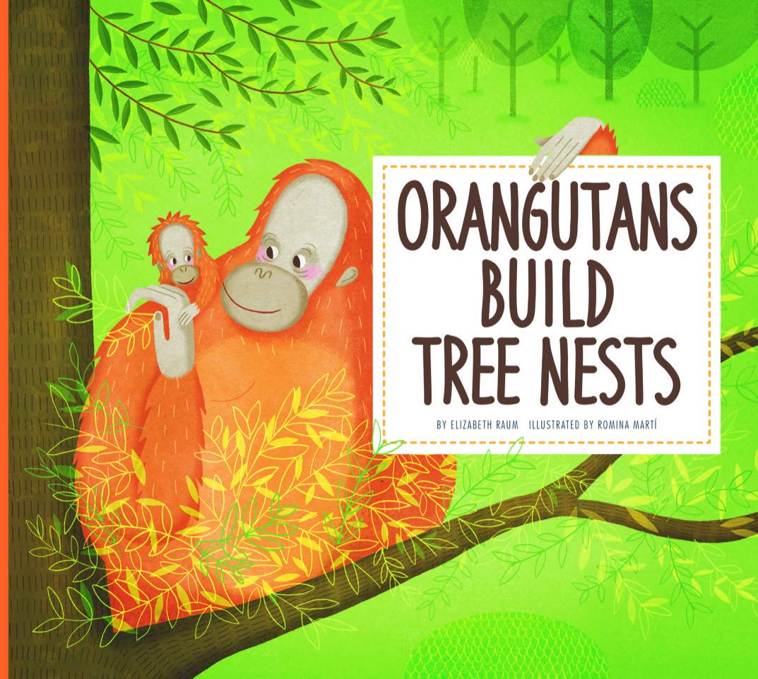 Orangutans Build Tree Nests: Animal Builders