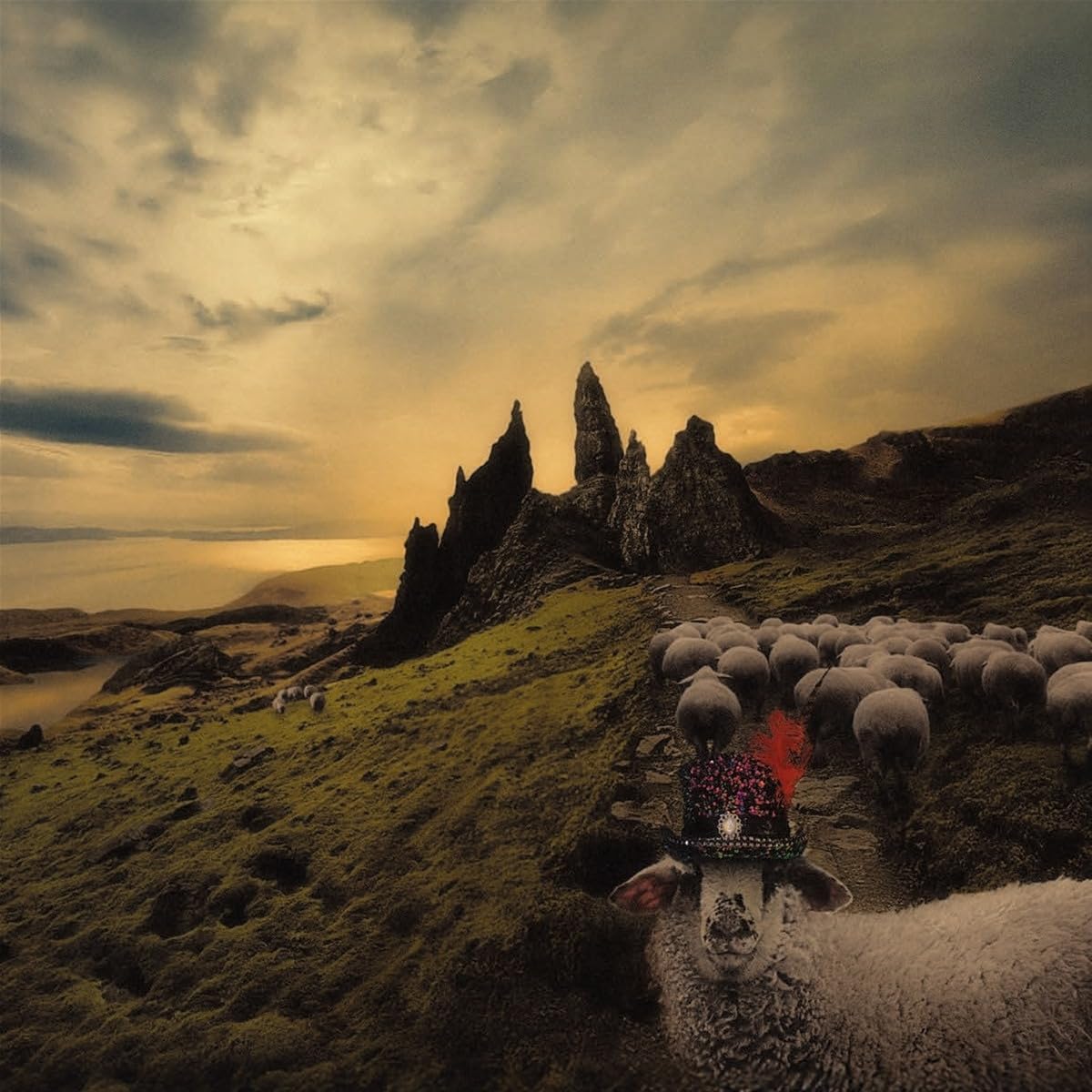 Franck Carducci: Sheeple, Vinyl Edition With Gatefold Sleeve