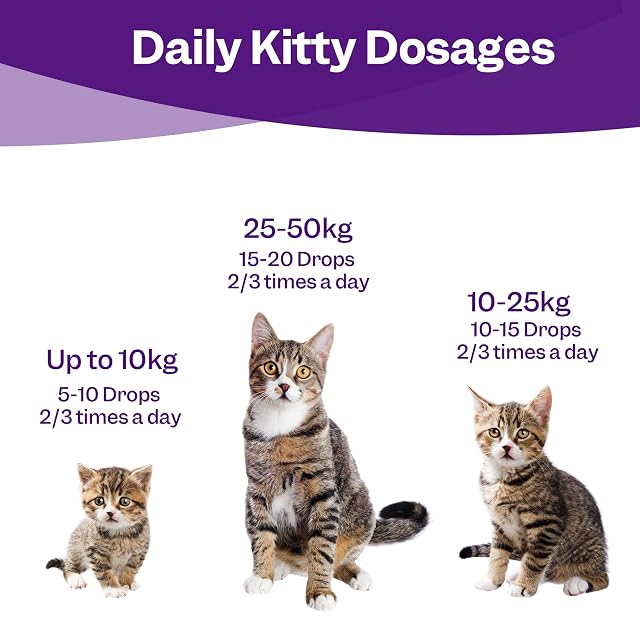 Foto 8 de 8 de Zanipro Cat Calming Drops - UK Made 100% Natural- Helps Relieve Behavioural Issues At Home & On The Move