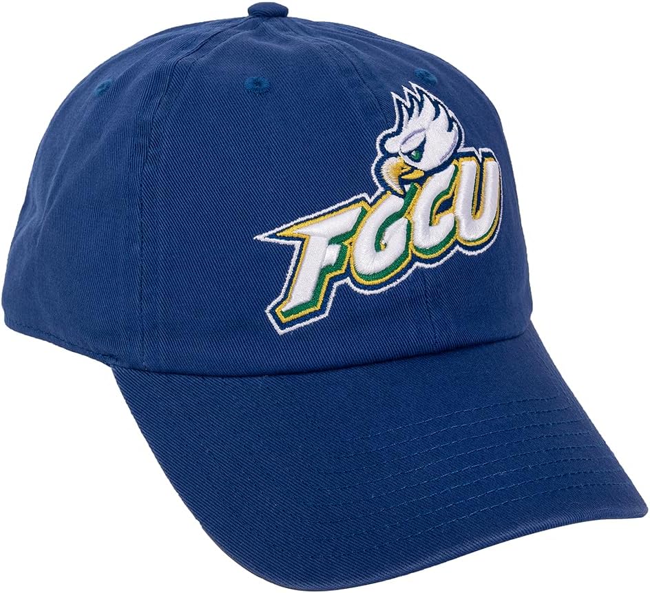 Desert Cactus Florida Gulf Coast University Baseball Hat FGCU Eagles Brimmed Embroidered Cap Adjustable Cloth Strap Adult