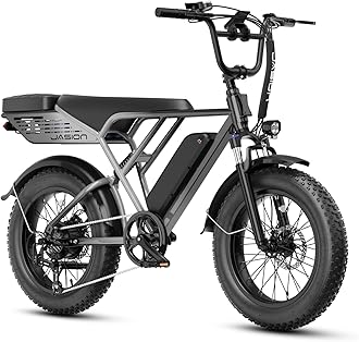Jasion RetroVolt Electric Bike for Adults, 2000W/3000W Peak - 30/38MPH Electric Dirt Bike, 48V-52V, 13AH/20AH Battery, 65/90Miles Max Range Electric Motorcycle, 20'' X 4'' Fat Tire All-Terrain E-Bike