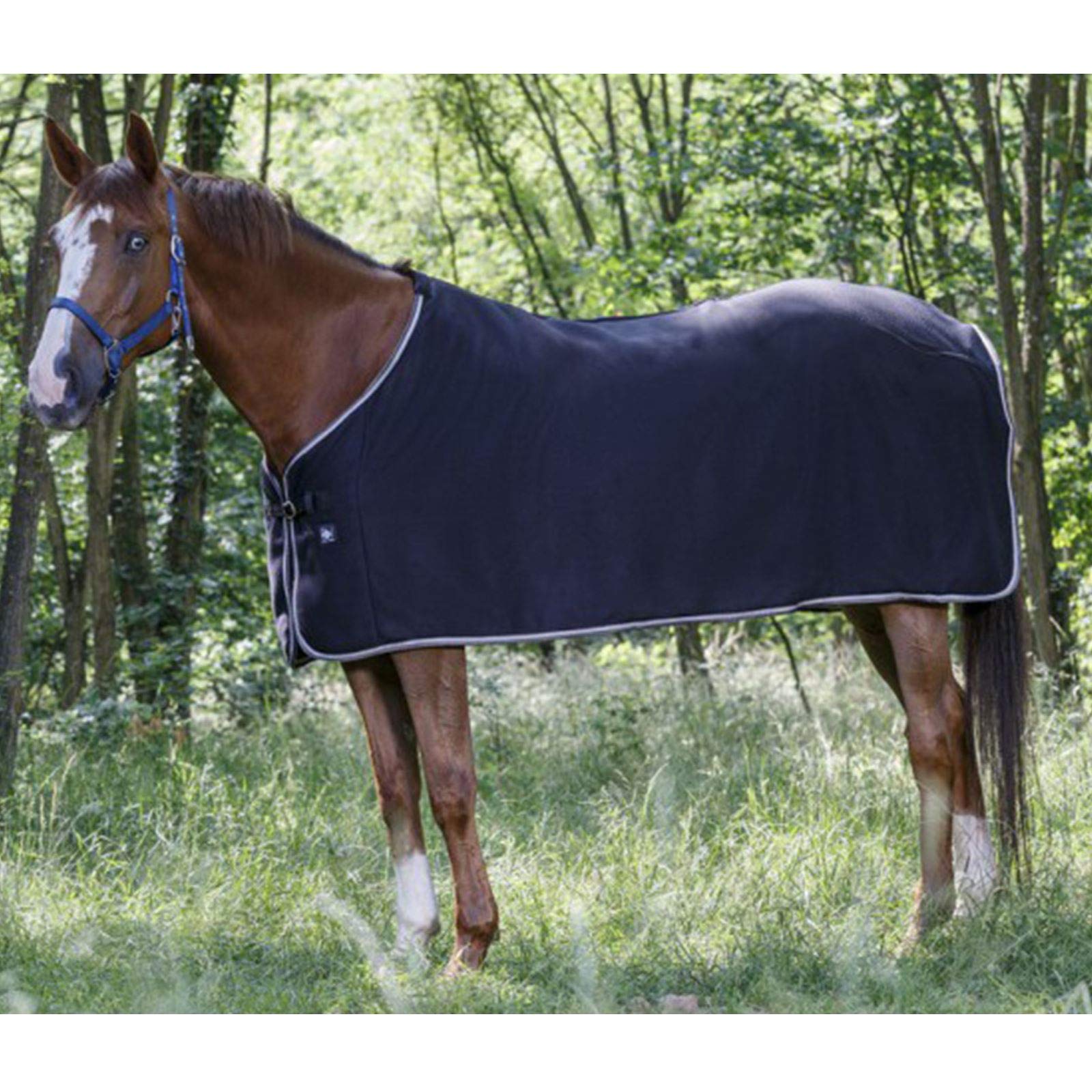 Riding World Polar Rug Liner Travel Pony Cob Horse Stable Standard Neck Fleece