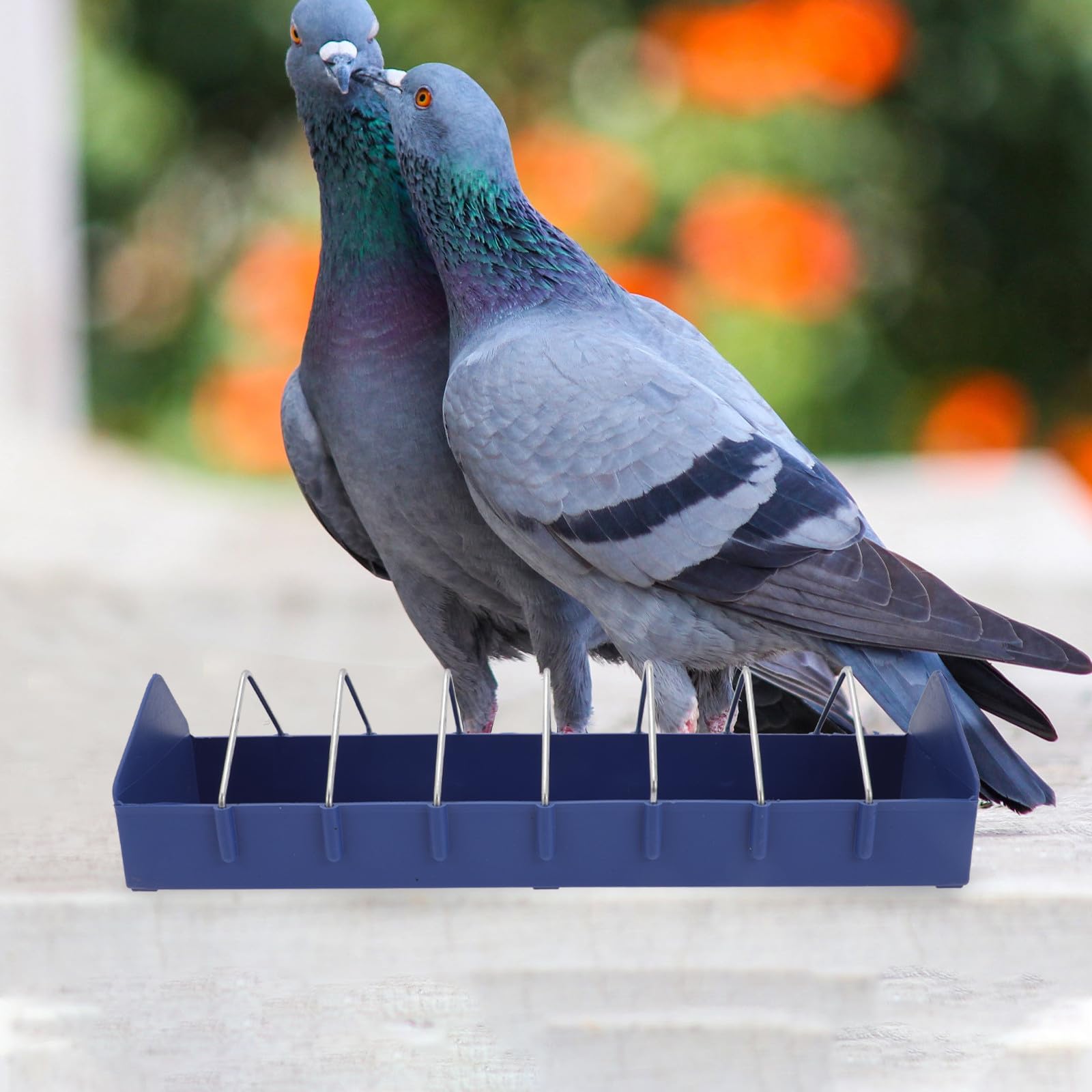 Mangeoire Nettoyer PP Bleu Facile pour 2pcs en Plastique Pigeons Remplir à Cages de Petits Oiseaux et Perruches