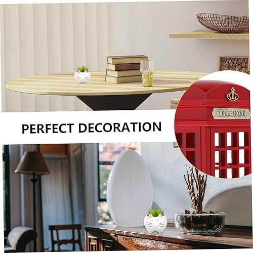 Miniatura 8 de Bonita maceta de cerámica con diseño de gato para decoración de suculentas, transpirable, para cactus y violetas africanas, decoración de macetas