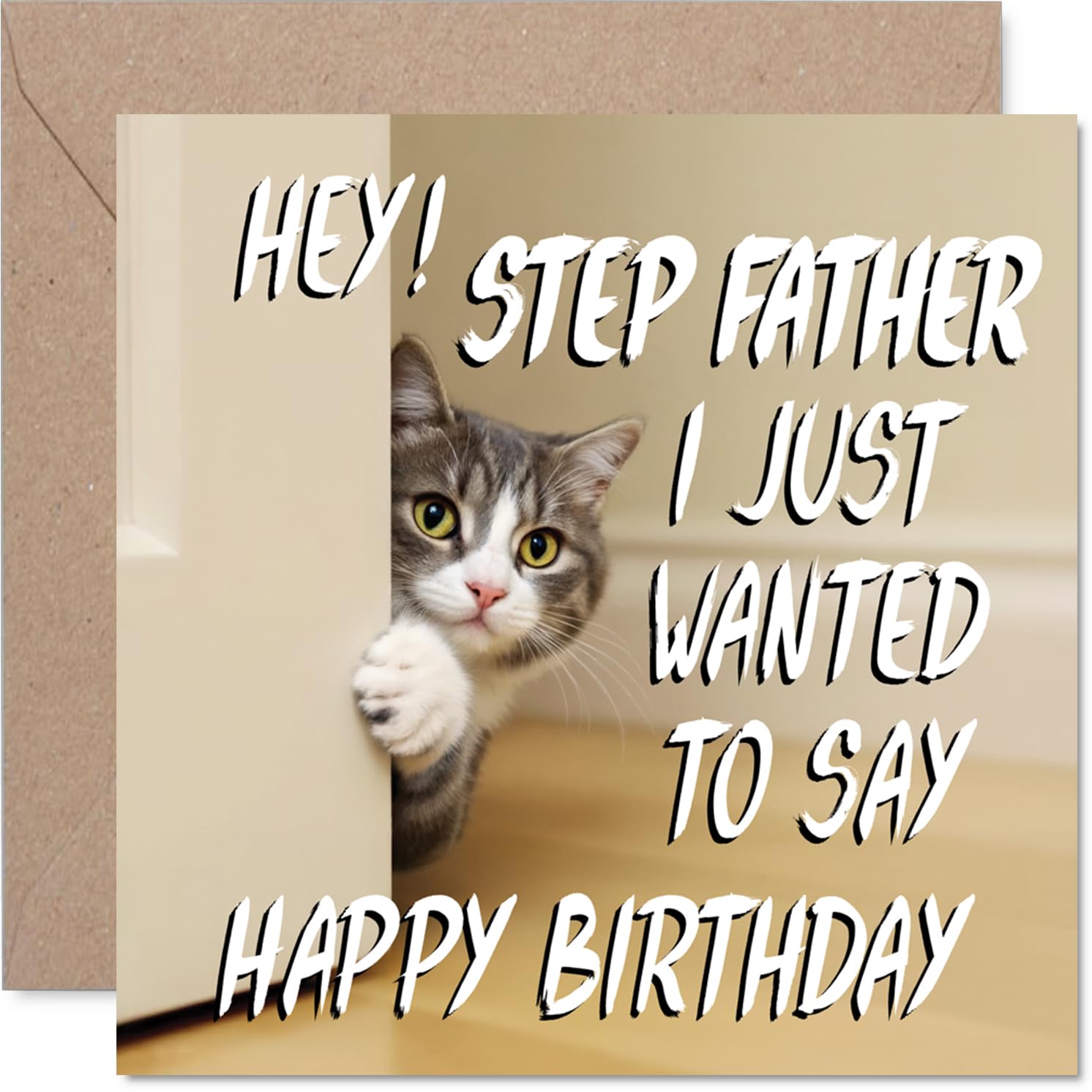Step Father Birthday Card, Cute Cat Peekaboo