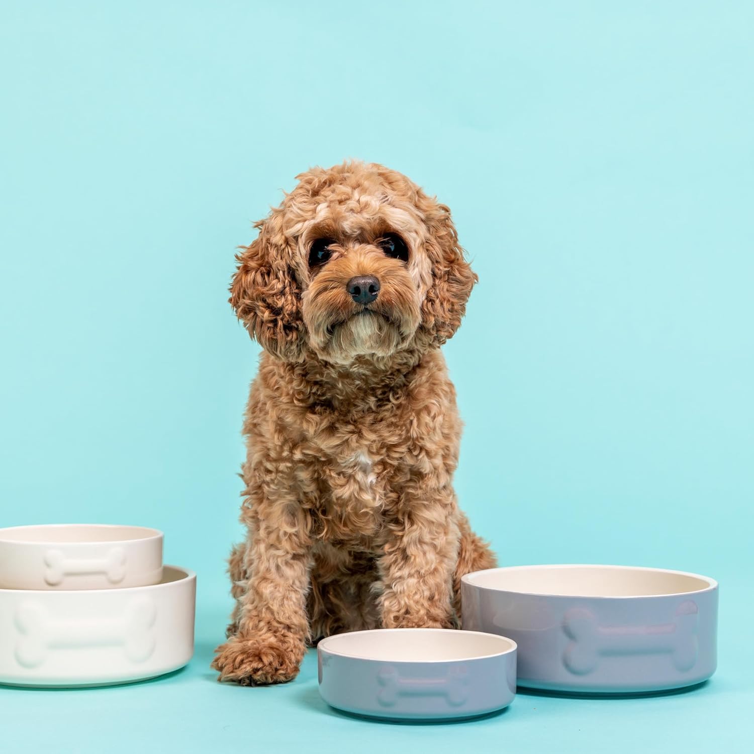 Mason Cash: Embossed Bone Dog Bowl - Cream - 8", 50.7oz - Durable Ceramic Food & Water Dish, Microwave & Dishwasher Safe, Pet Meal Feeding & Hydration