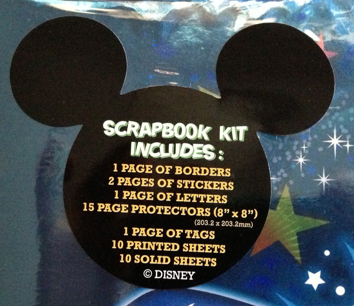 Walt Disney World 2013 Small Scrapbook New 8x8 Park by Disney