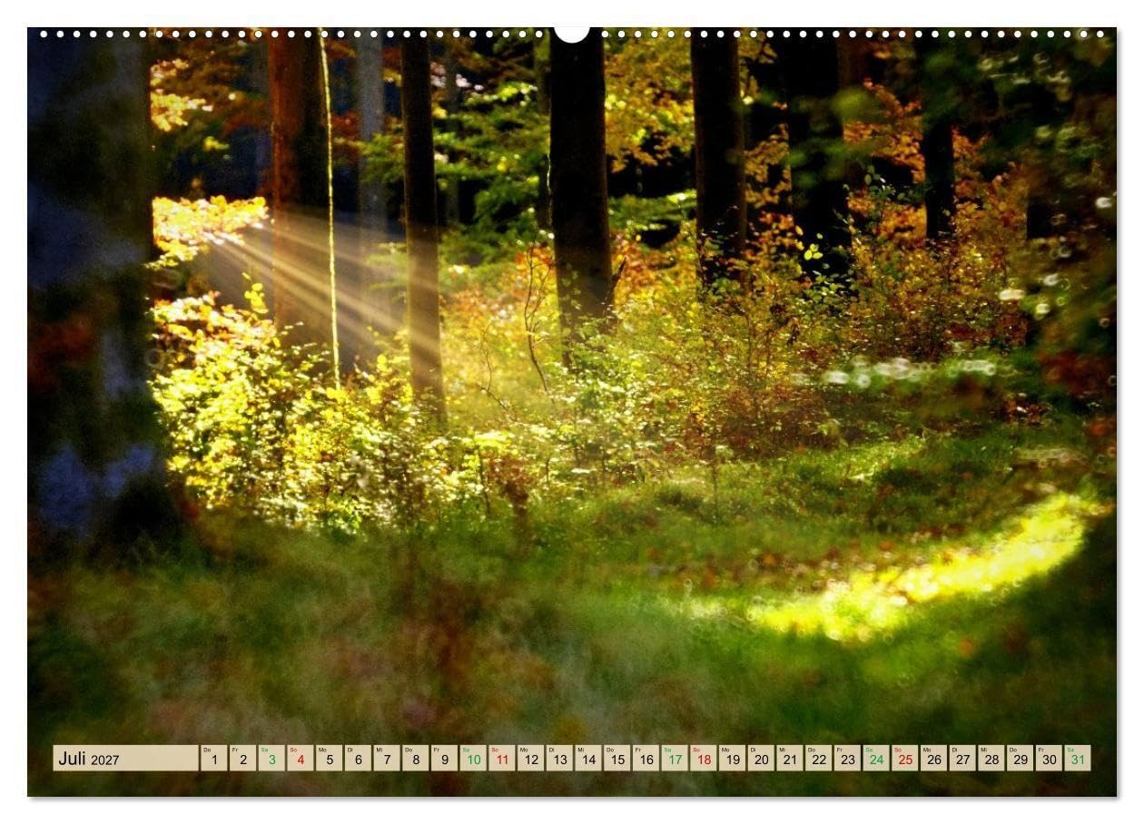 Thüringen nach dem Baumsterben (hochwertiger Premium Wandkalender 2027 DIN A2 quer), Kunstdruck in Hochglanz: Junges Grün, klare Horizonte und ein ... die Landschaft Thüringens. (CALVENDO Natur)