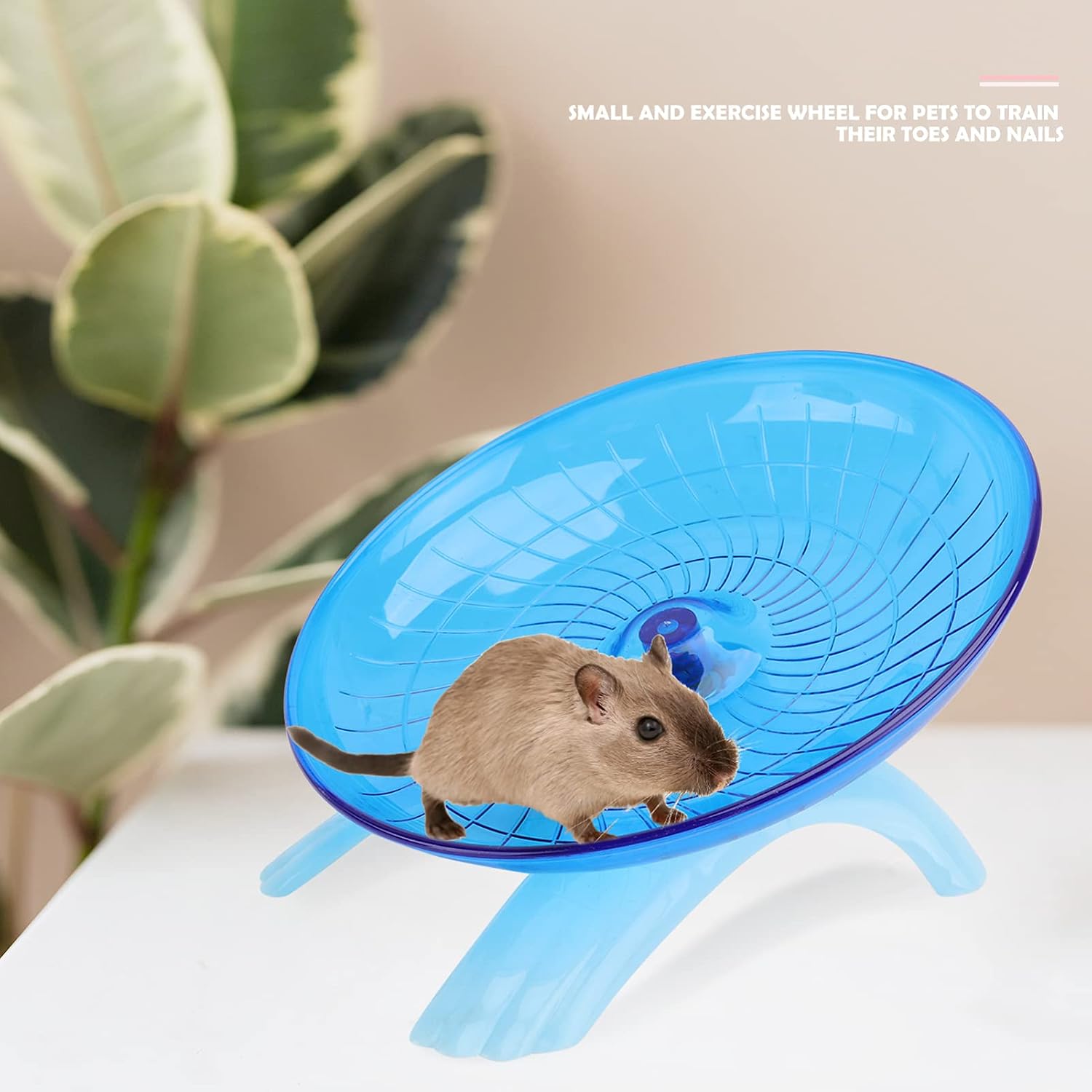 NOLITOY Pet Exercise Toy Rat Exercise Saucer Hamster Wheel Hamster Toys Silent Exercise Wheel Chinchilla Toys Guinea Pig Toys Non Run Disc Small Animals Scroll Wheel, Medium, Blue