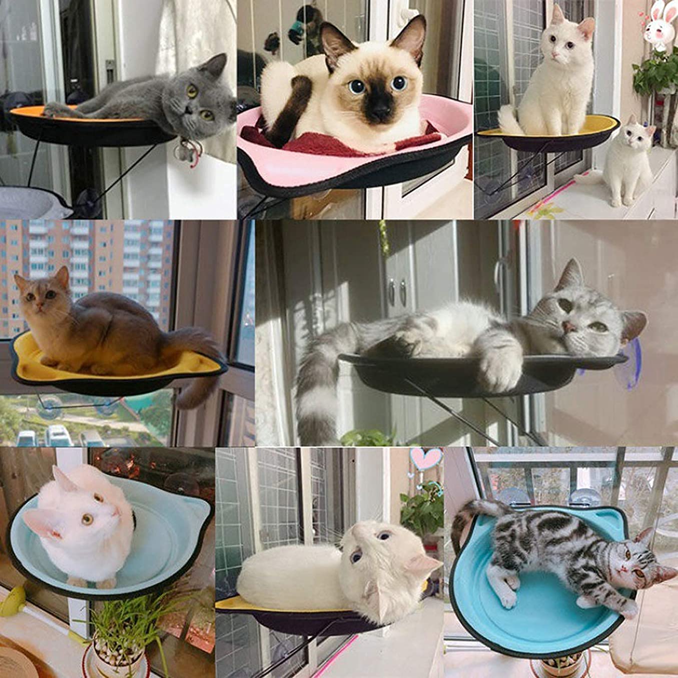 Hamaca para Gato Hamaca Ventana de Gato Cama montada en la Ventana para Gatos Asiento Solar Ventana Hamaca Percha Cojín Cama Estante Colgante Asiento Hamaca para Tomar el Sol Taza de succión Nido co