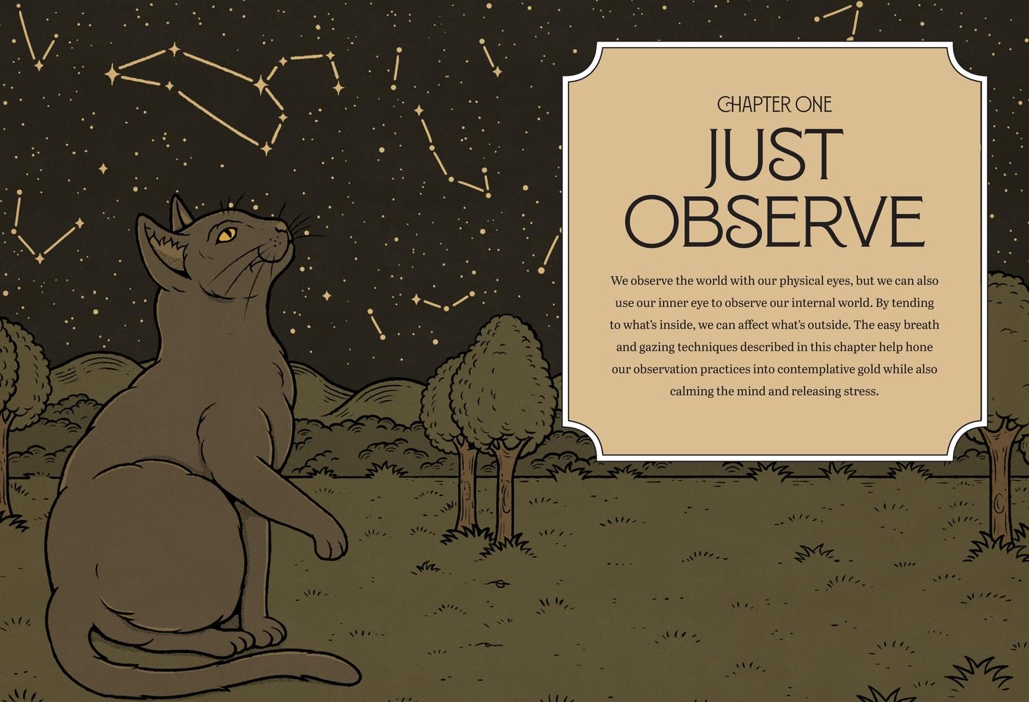 Mystic Kitty: A Cat's Guide to Meditation (Cats Rule the Earth Tarot)