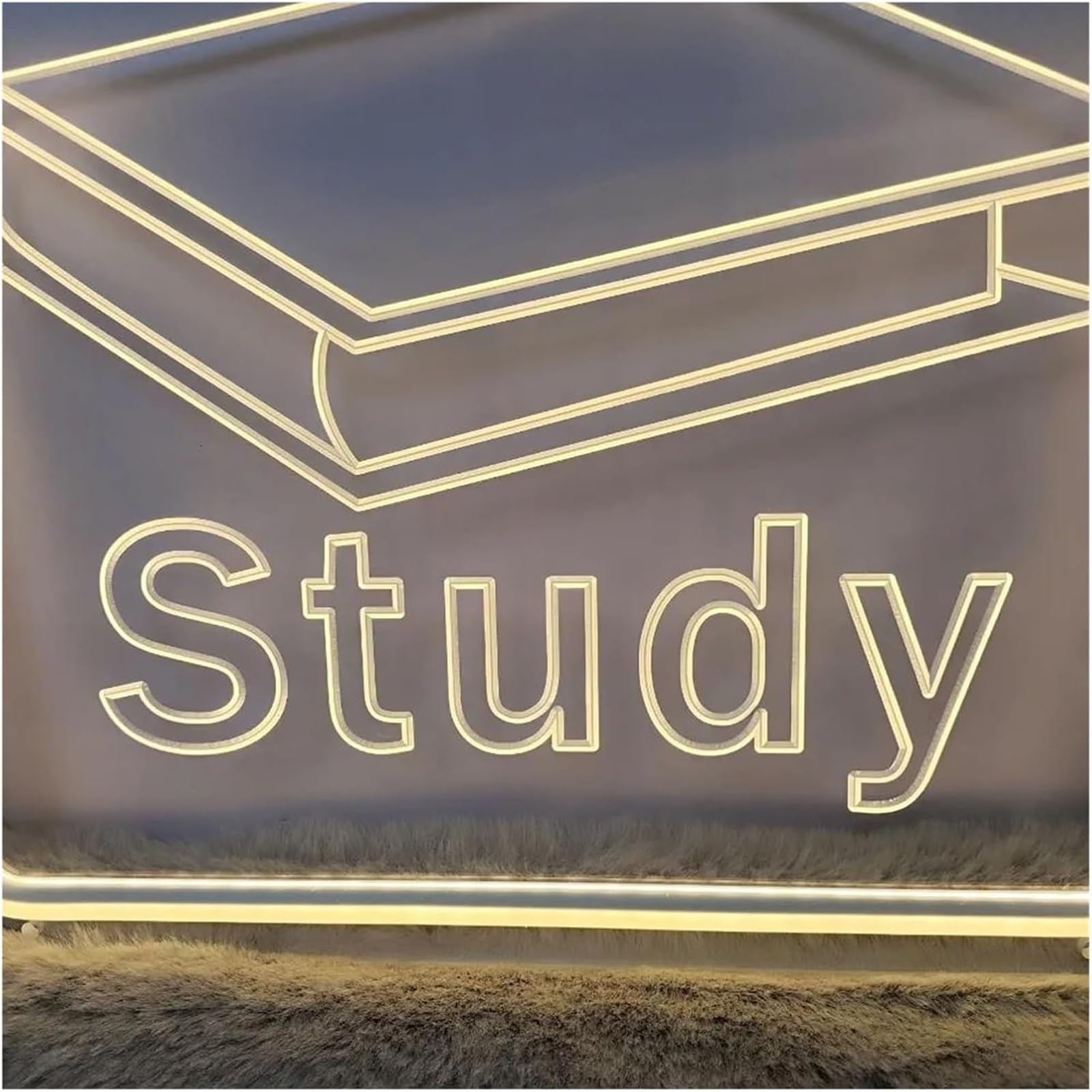 neon light sign For neon lamp loanword 3D Carve Letter Study for Signs for