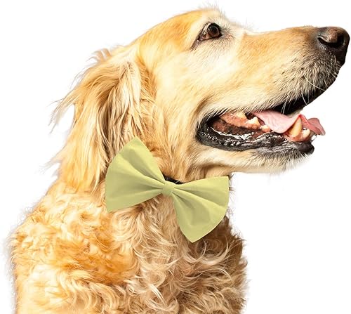 Miniatura 5 de Ruse Pajarita para mascotas perros y gatos Salmón Sólido Fácil de Usar Correa Elástica Antirozaduras Regalo para Mascotas Perros y Gatos Bufanda