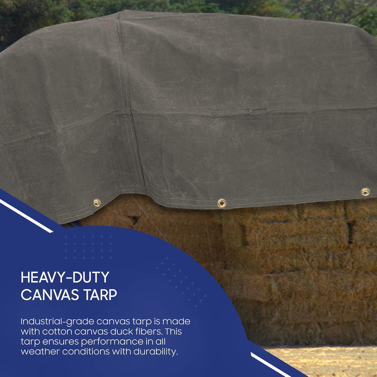 Canvas Waterproof Tarpaulin 800 GSM, UV Resistant TARP, Rustproof Reinforced Eyelets Commercial Military Grade, Industrial Tirpal (6Ft X 7.5Ft) — Amazon image 3