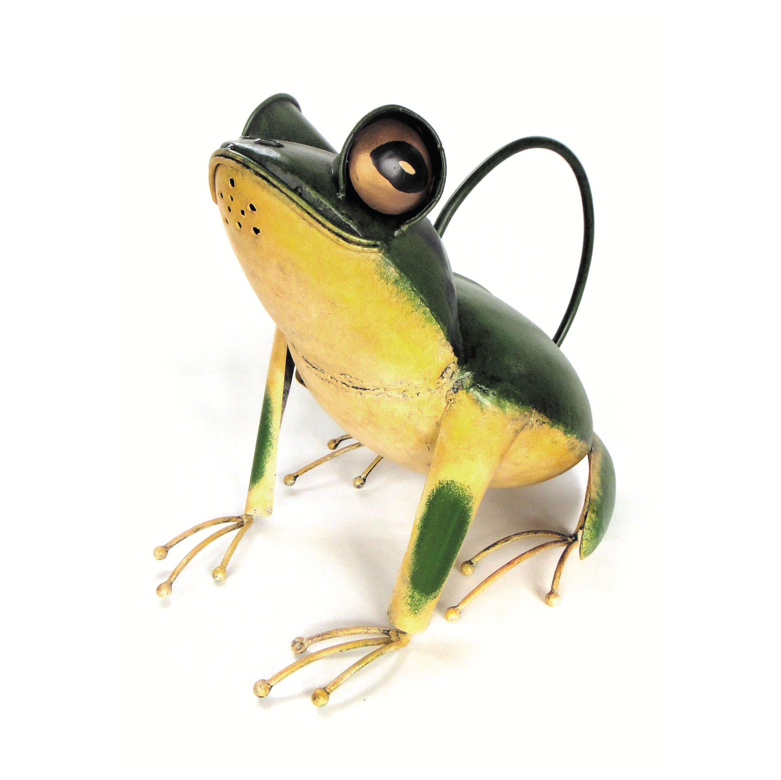Amazon.com : Blue Handworks Sitting Frog Watering Can