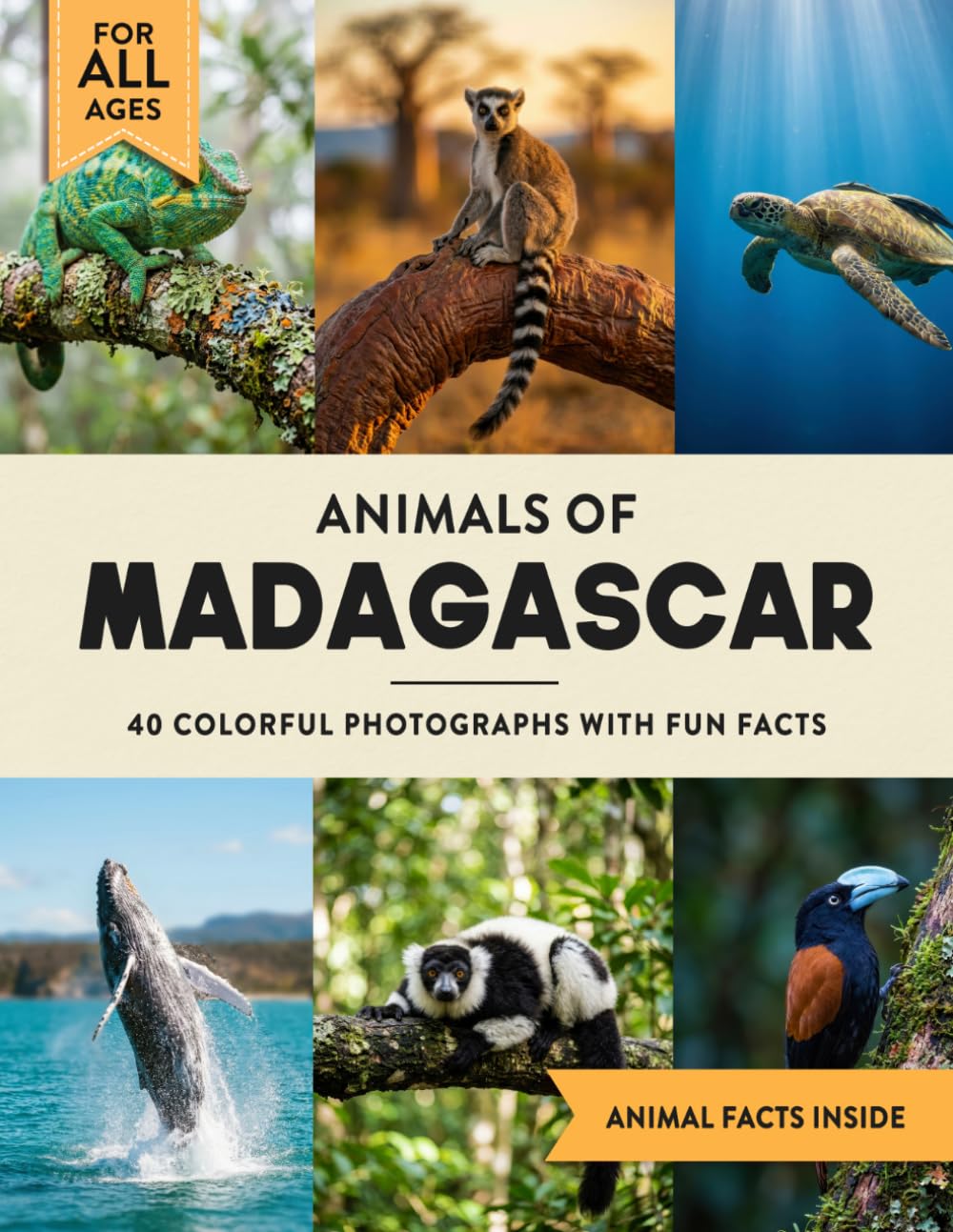 Animals of Madagascar: A Wildlife Picture Book With Fun Facts Including Nosy Be and Antananarivo For Kids & Adults
