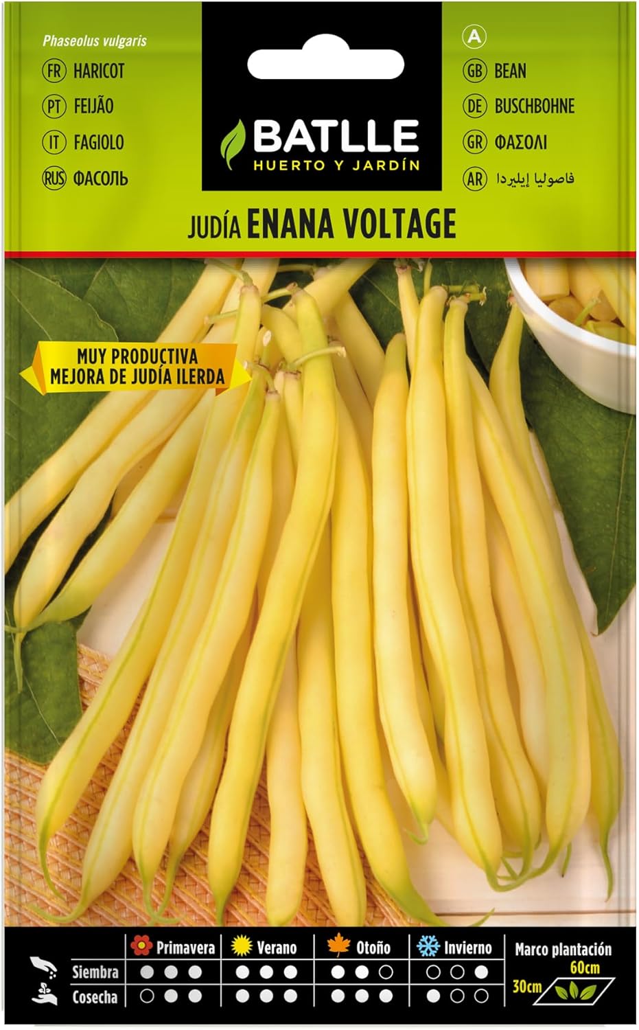 Judia VOLTAGE