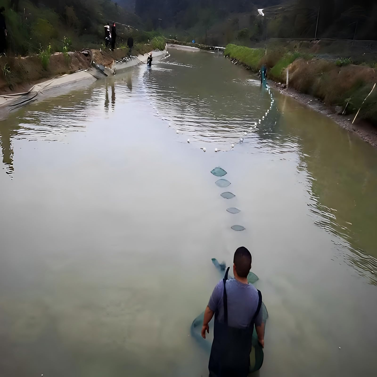Pequeña Trampa de Malla para Pesca con trampas de Pesca de 8 x 1 x 3 m