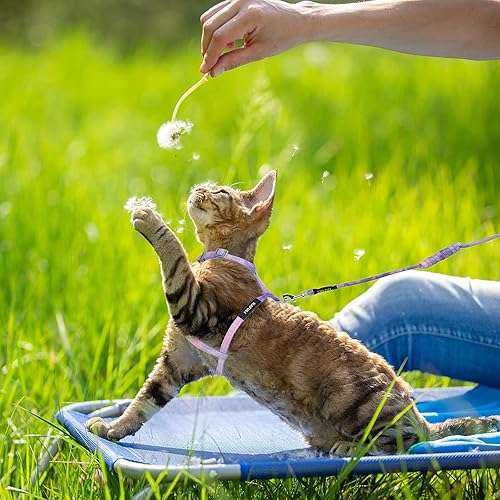Miniatura 5 de Juego de arnés y correa para gato, arnés ajustable degradado para gatito, arnés a prueba de escapes con correa para gatito al aire libre (morado