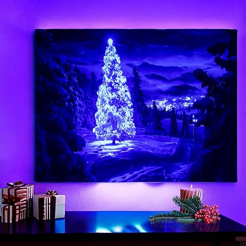ZENGABIA Tapiz de luz negra, fondo de Navidad, 29.5 x 39.4 pulgadas, divertido tapiz UV para estética de dormitorio, sala de estar, dormitorio,