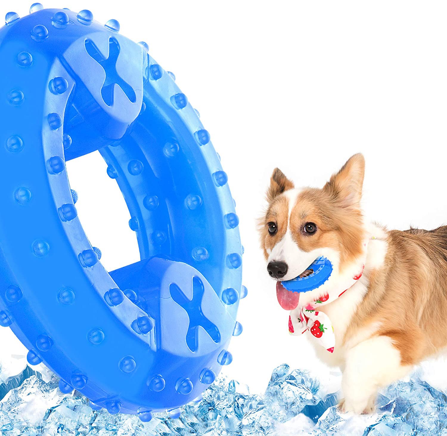 DELFINO Pet Teether Pet Products Arctic Freeze Fetch Food Cooling, Cooling Freeze Puppy Teething Rings Arctic Durable Teething Toys for Dogs Perfect Training Tool Chew Ring Toys refined