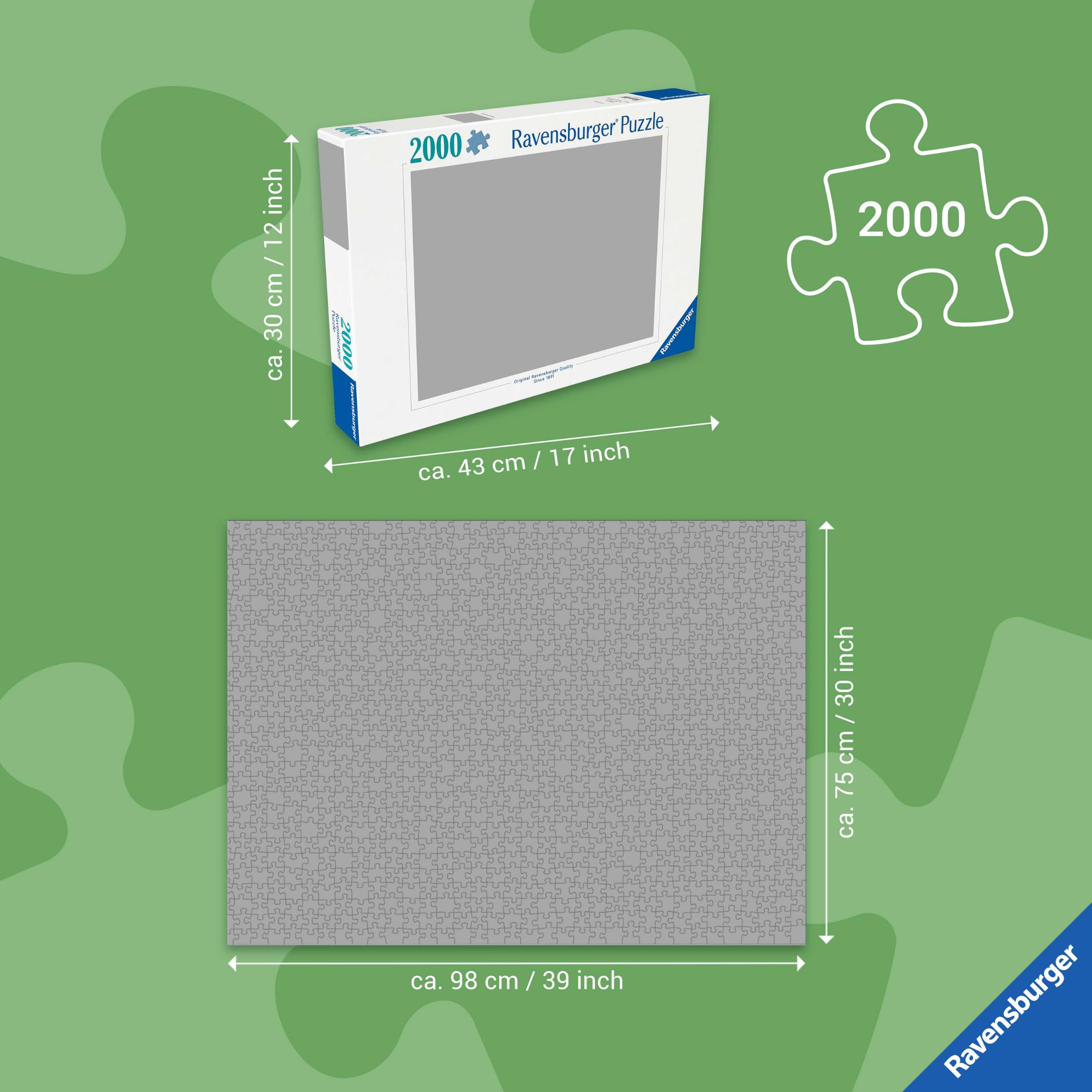 Ravensburger - Puzzle 2000 Pezzi Pisa E I Monti Pisani | Puzzle 2000 Pezzi | Rompicapo Adulti E Bambini dai 14 Anni in su | Regalo per Bambini E Adulti | Misure 98x75cm | Tecnologia Soft-Click