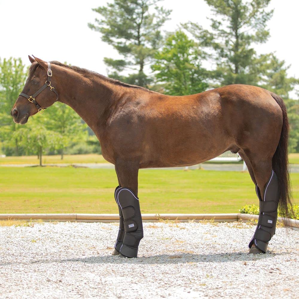 Horse Boots Professional Equine Horse Stable Shipping Boots Wraps - Main Image