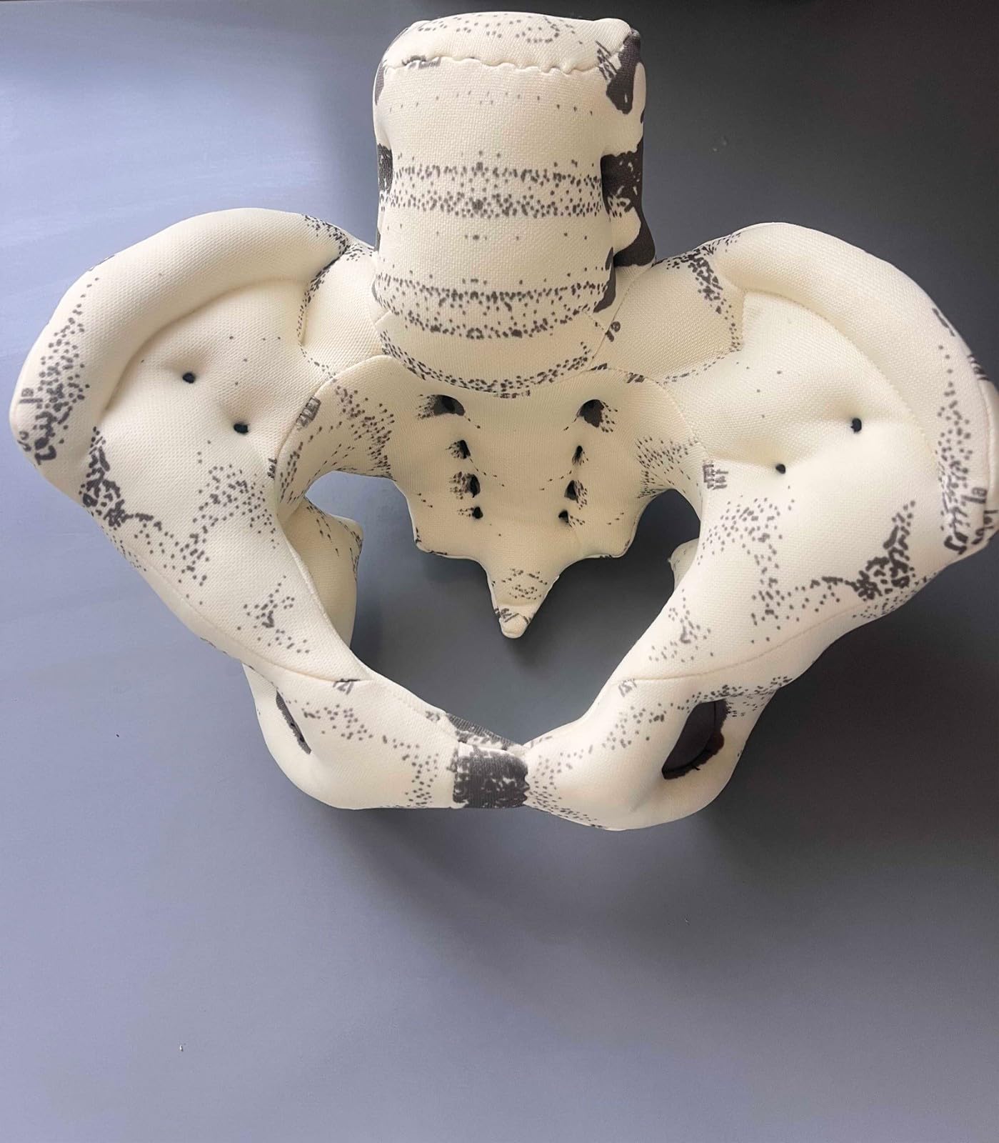 Outil de simulation d'accouchement : mini-bassin féminin, modèle de bébé avec fœtus, cordon ombilical et placenta. Simulateur de démonstration d'accouchement pour études médicales et enseignement.
