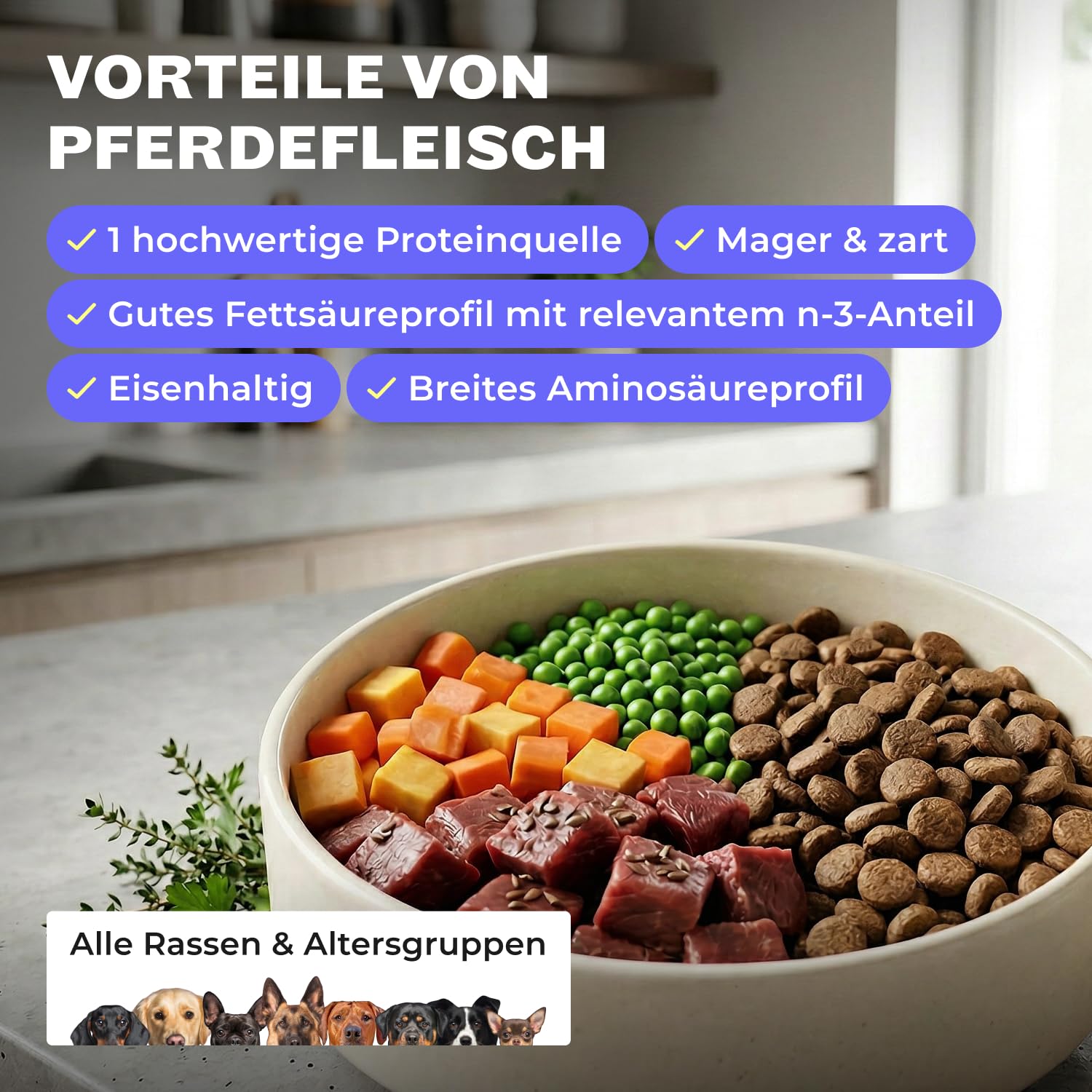HEY HOLY Sensitives Hundefutter Pferd | Hypoallergenes, getreidefreies Hundefutter trocken für ernährungssensible Hunde | Maximale Verträglichkeit durch allergenreduzierte Rezeptur, natürliche Zutaten