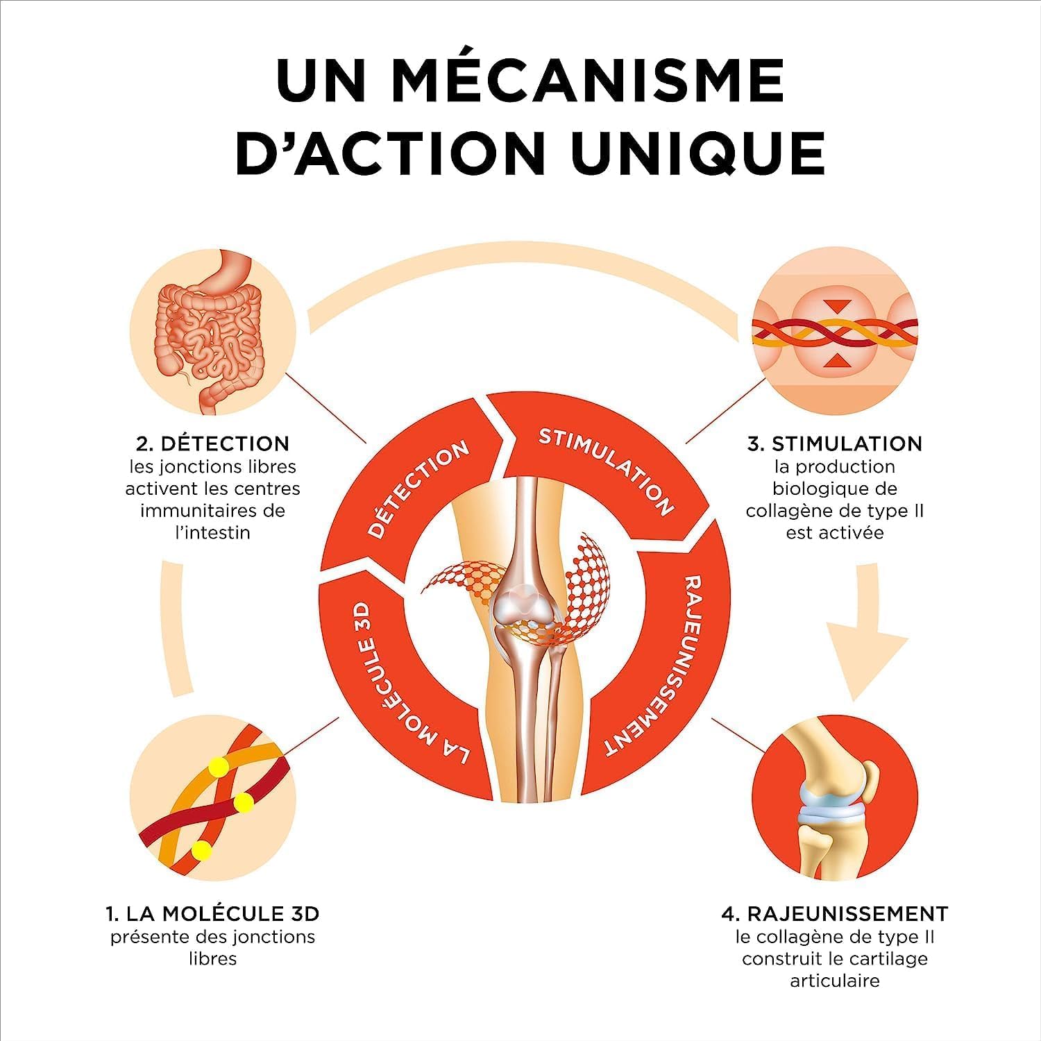 Collanol – innovation dans le soin des articulations saines Formule liquide dans une double capsule Collagène 3D + extrait micellaire de racines de curcuma 1 capsule/jour. 20 Prises