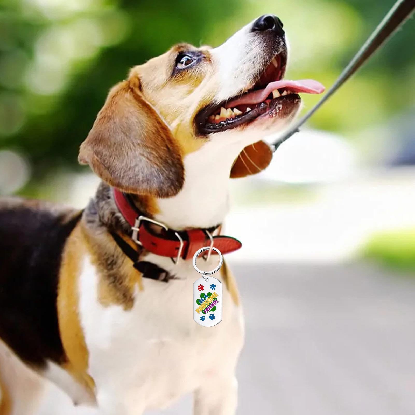 Targhette identificative per animali, Targhette per cani personalizzate