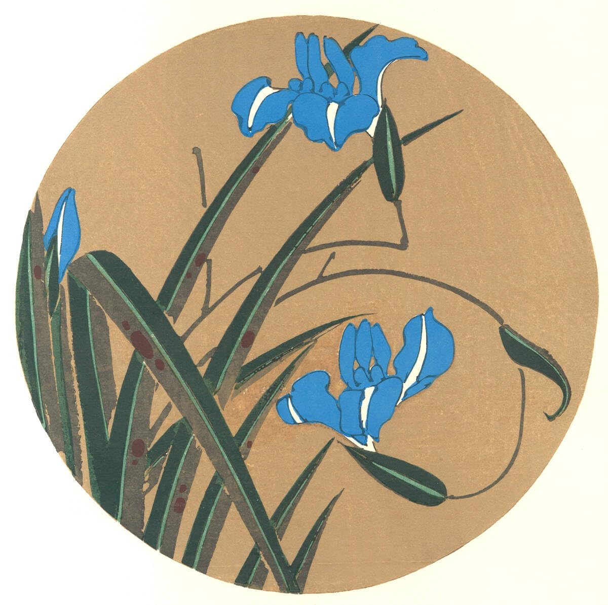 保管品　若冲画譜の花十二ヶ月　木版画コレクション　六月「かきつばた」　伊藤若沖 Amazon.co.jp: 真作保証 若冲用丸窓額入り 伊藤若冲 格天井花画 木版画