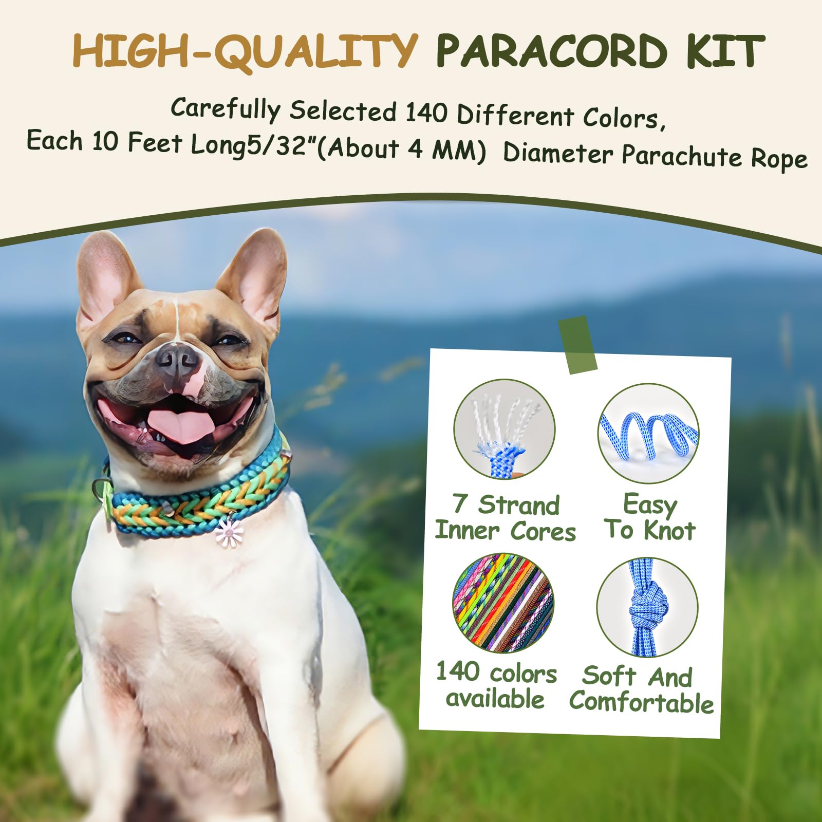 WEREWOLVES Kit de paracorde multifonction de 3 m pour la fabrication de bracelets, cordes, colliers pour chiens (1 couleur)