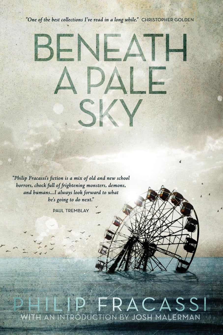 Beneath a Pale Sky view 3