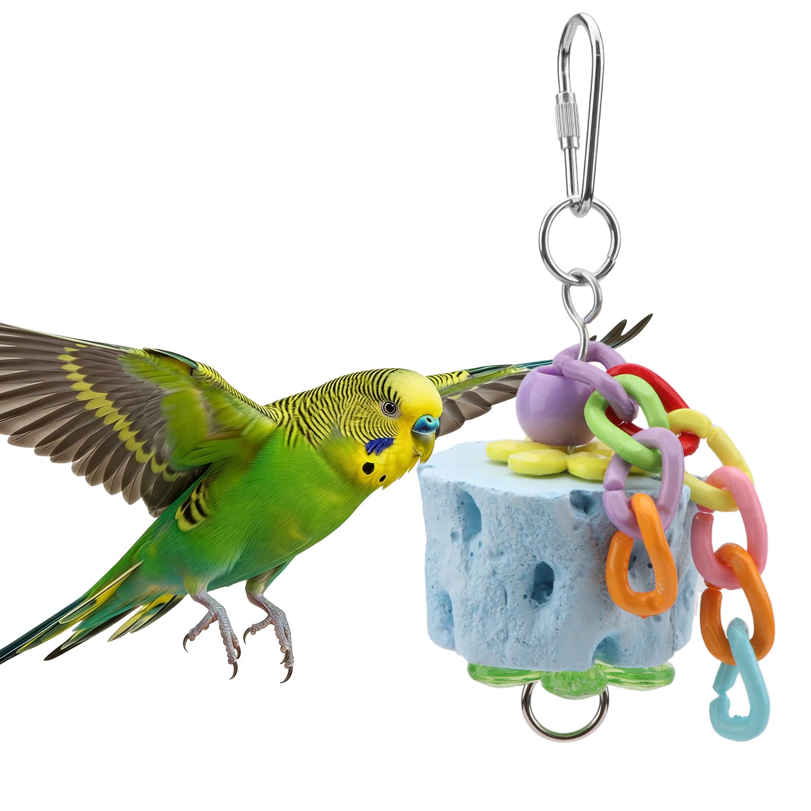 Pierre de meulage pour bec d'oiseau perruche et hamster