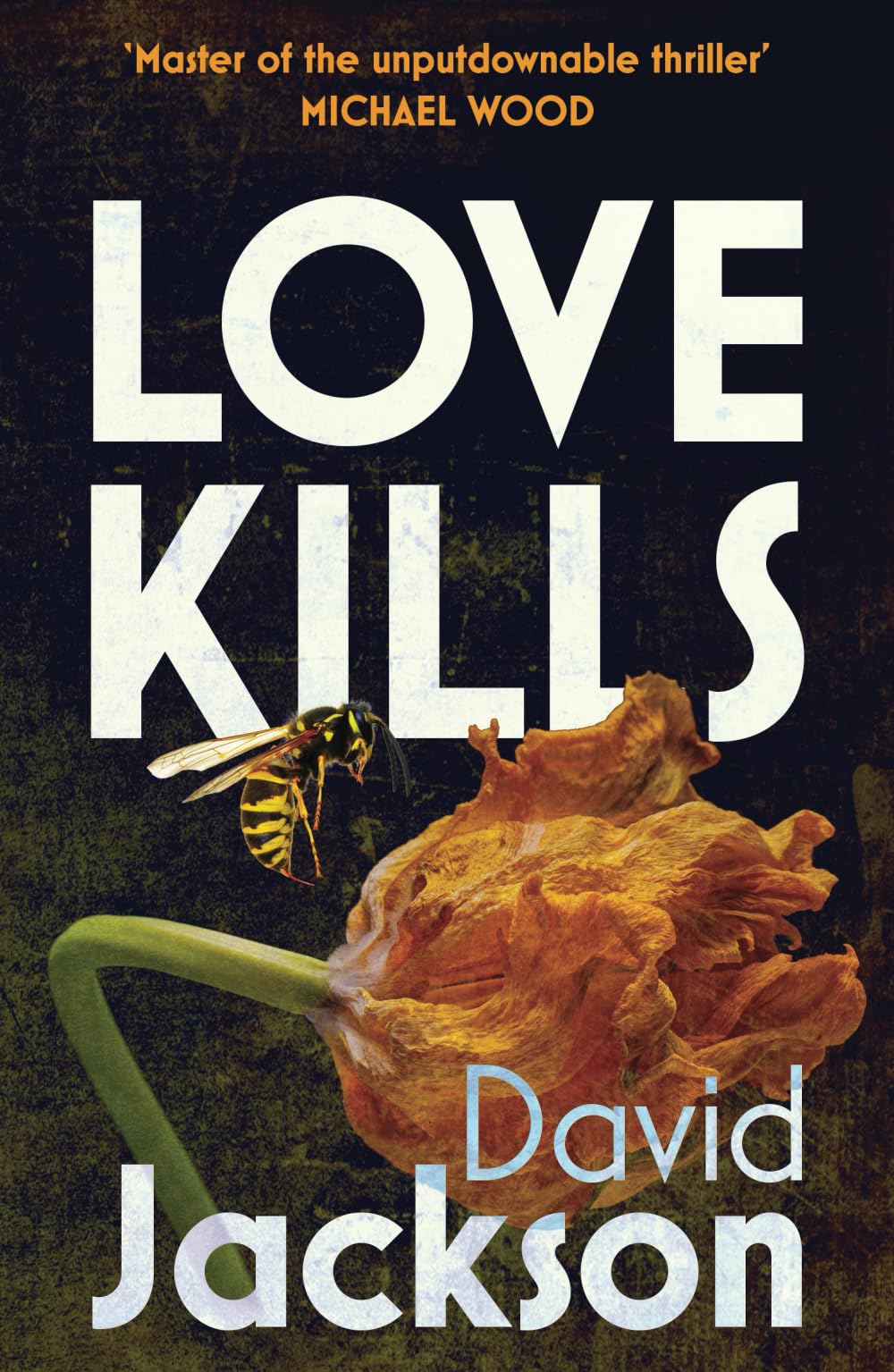 Love Kills: A tense, gripping thriller full of twists and turns
