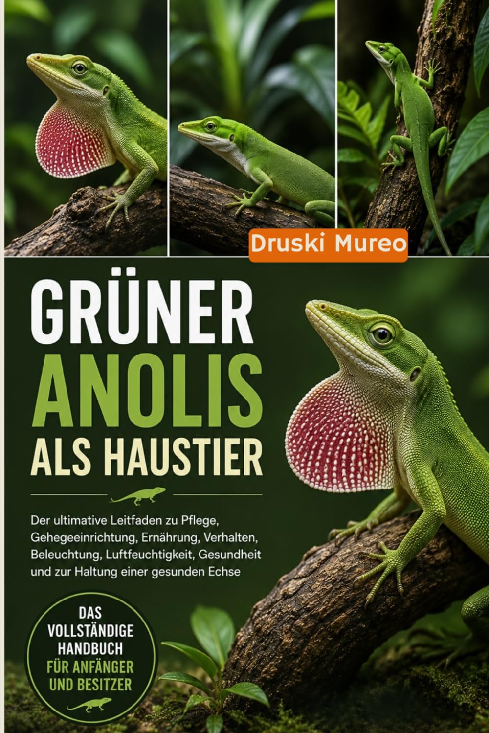 GRÜNER ANOLIS ALS HAUSTIER: Der ultimative Leitfaden zu Pflege, Gehegeeinrichtung, Ernährung, Verhalten, Beleuchtung, Luftfeuchtigkeit, Gesundheit und zur Haltung einer gesunden Echse