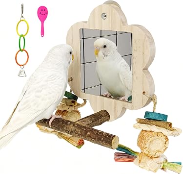 Bird Mirror with Perch Stand,Parrot Swing,Birds Toys for Alleviate Boredom