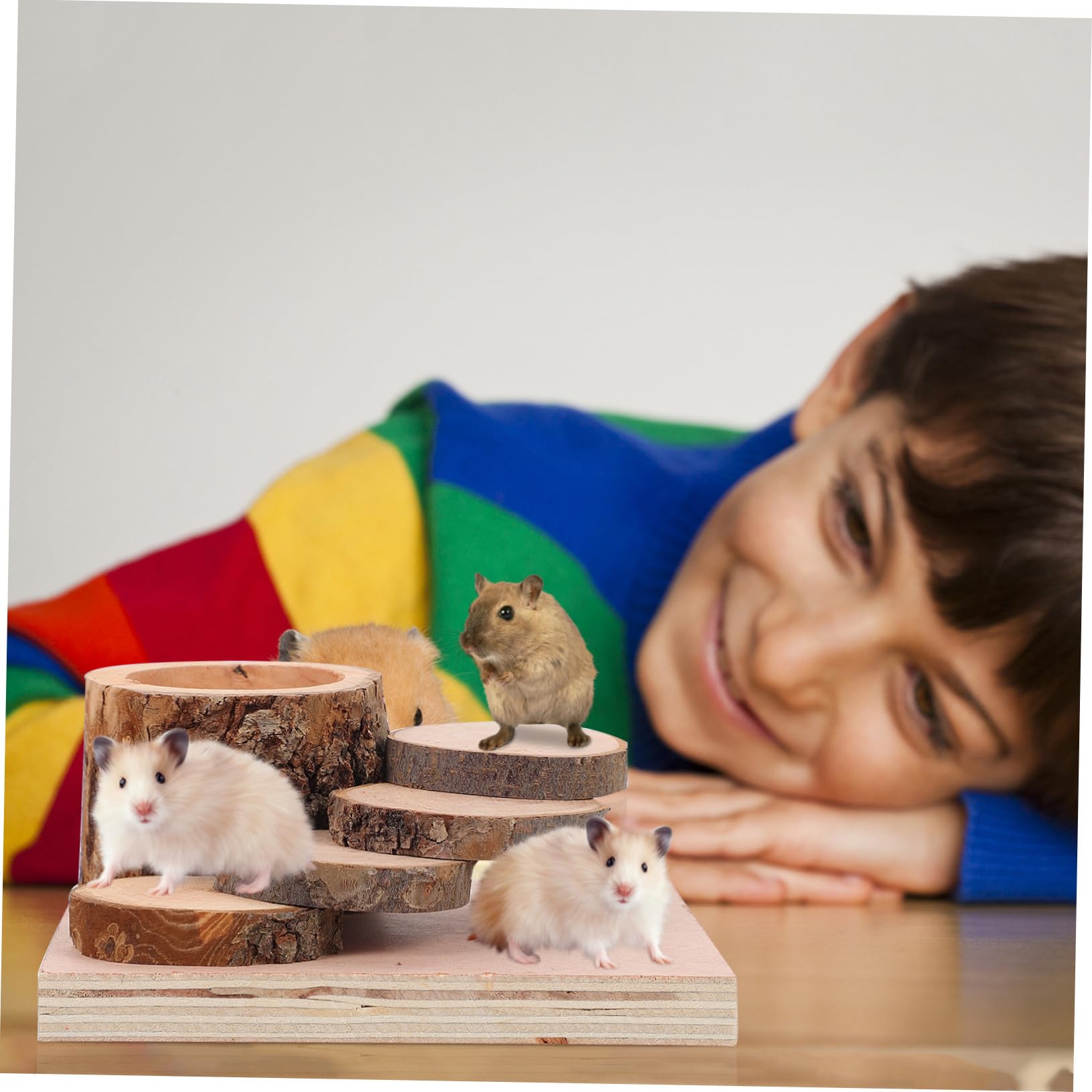 Hohopeti Hamster Kletterspielzeug mit Futternapf und Plattform