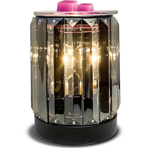 Leyoue Calentador de cera para derretir eléctrica quemador de cera eléctrica calentador de aceite esencial de incienso calentador de cera de