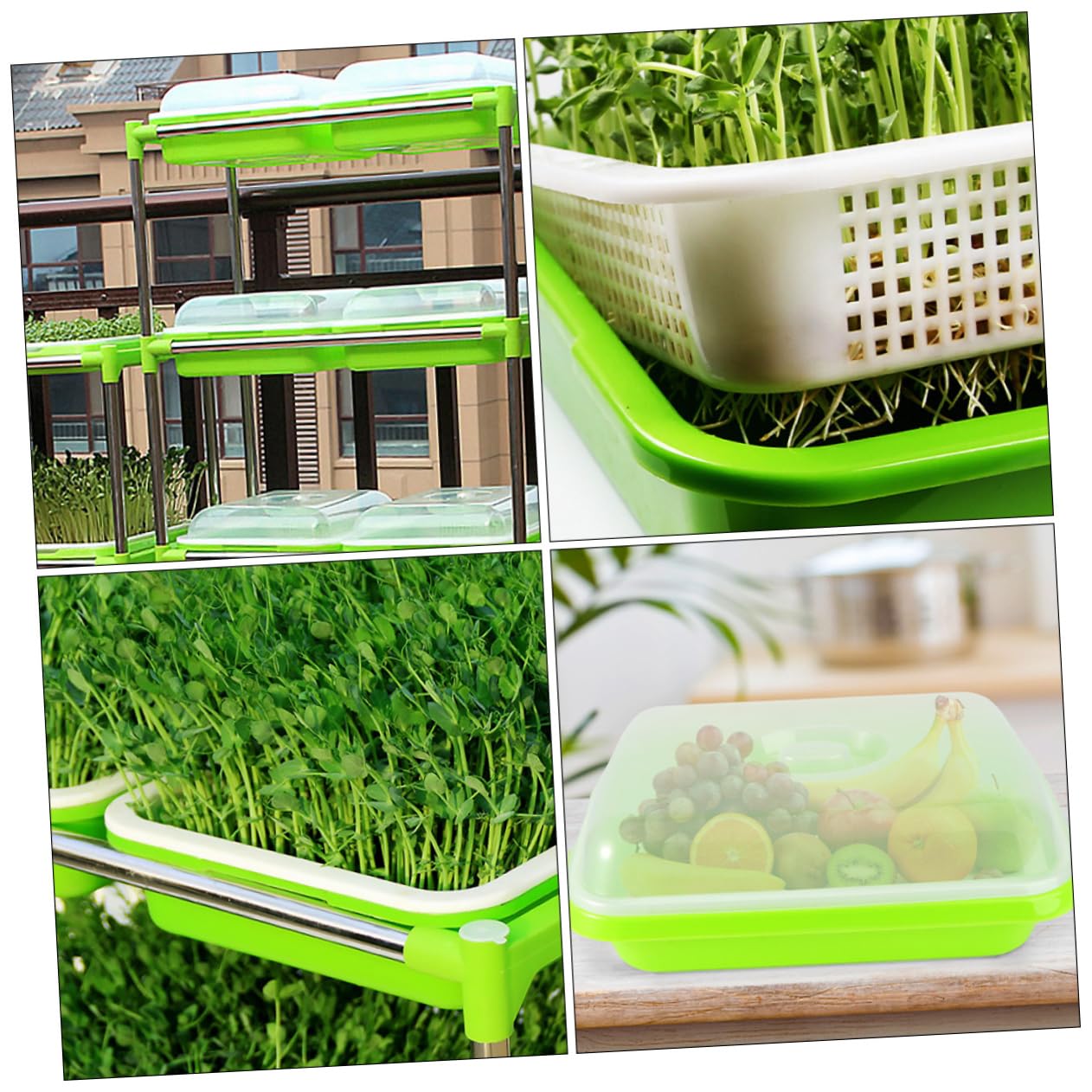 TOYANDONA Bandejas para Germinadores Tapa para Jardinería, Pack 2 Unidades, de Cultivo Plástico Profundo, Germinador de Brotes Soja, Germinación sin Tierra, Uso Doméstico y Huerto Urbano
