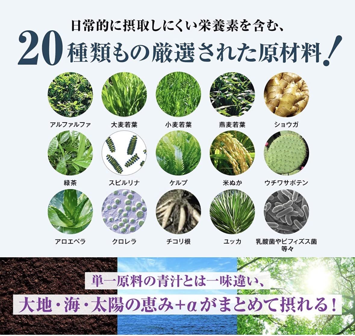 Amazon.co.jp: ベジパワープラス 2.25g×30包 2箱セット + Kunutonn
